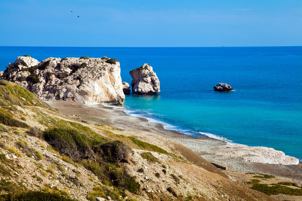 キプロスにおけるアフロディテ ビーチ - 写真・画像