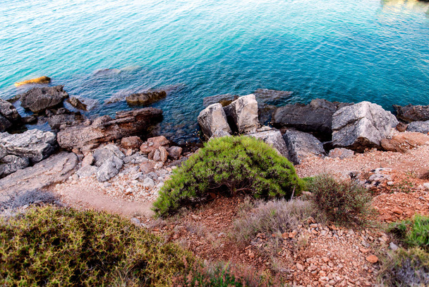 Wild clear seashore with rocks - Foto, Imagen