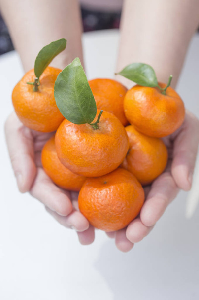 fresh oranges in  female hands - 写真・画像