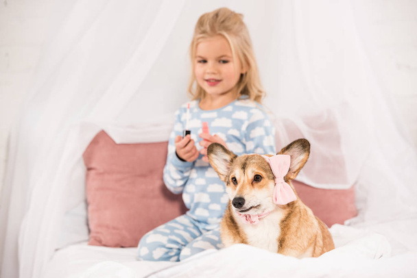adorable kid with lip gloss looking at corgi dog with pink bow - Fotografie, Obrázek