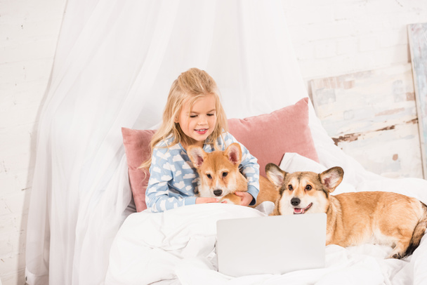 adorable child lying in bed with corgi dogs and using laptop at home - Foto, afbeelding