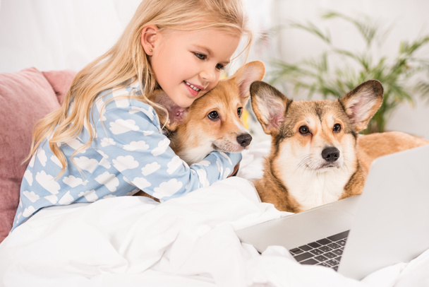uśmiechnięte dziecko leżąc w łóżku z psami corgi i patrząc na laptopa  - Zdjęcie, obraz