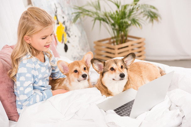 adorable child lying in bed with corgi dogs and using laptop at home - Φωτογραφία, εικόνα