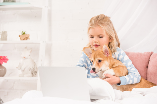 Niedliches Kind liegt mit Corgi-Hund im Bett und benutzt Laptop zu Hause - Foto, Bild