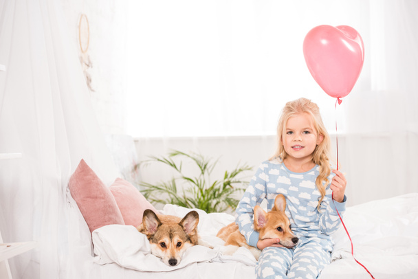 uśmiechający się dziecko siedzi na łóżku z psów welsh corgi pembroke w domu i gospodarstwa serca kształcie balon - Zdjęcie, obraz