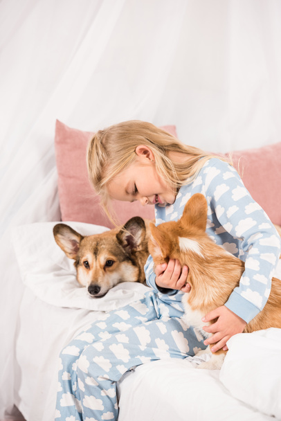 adorable child sitting on bed with pembroke welsh corgi dogs at home - Foto, imagen