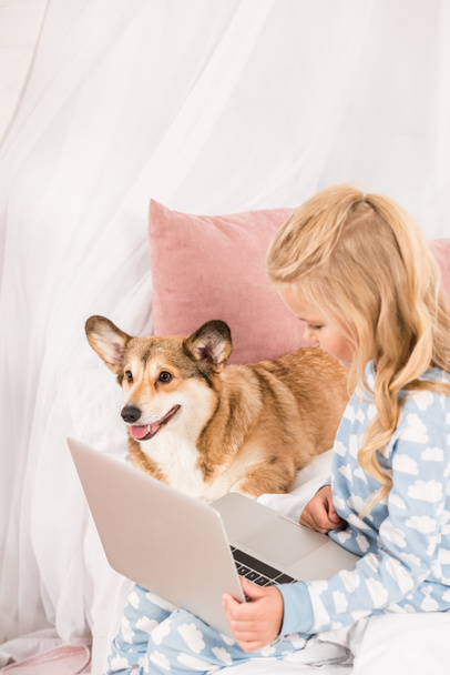 child sitting in bed with adorable corgi dog and using laptop at home - Photo, Image