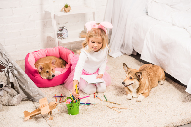 child in bunny ears headband sitting with welsh corgi dogs at home and drawing with coloring pencils - Photo, Image
