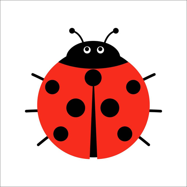 Симпатичная векторная иллюстрация Ladybug в плоском стиле. Мультяшный жук божья коровка изолирован от фона
. - Вектор,изображение