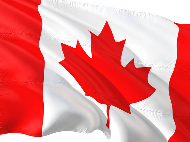 Flag of Canada waving in the wind, isolated white background. - 写真・画像