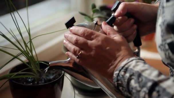 Ηλικιωμένη γυναίκα πότισμα λουλουδιών από τον βραστήρα - Πλάνα, βίντεο