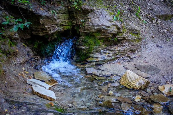 緑の森で春の滝 - 写真・画像