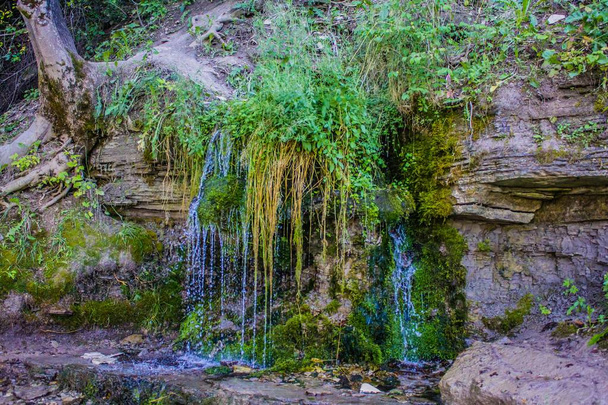 Spring Waterfall in green forest - Photo, Image