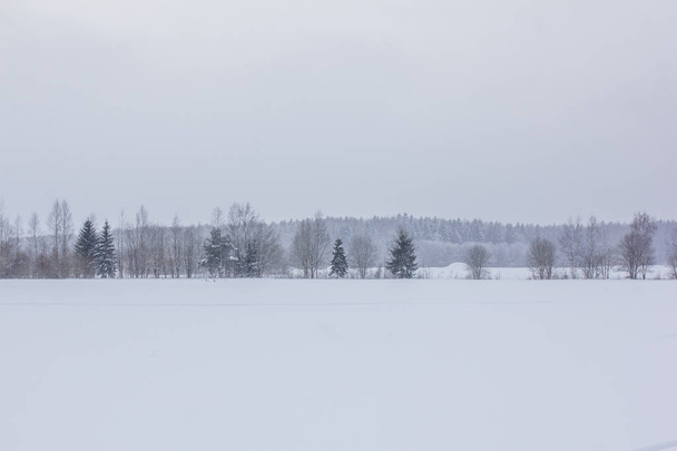 Winterlandschap in helder weer.  - Foto, afbeelding