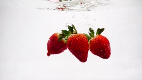 Η κόκκινη φράουλα όμορφα πέφτει στο νερό με φυσαλίδες. Βίντεο beryy σε απομονωμένες φόντο σε αργή κίνηση . - Πλάνα, βίντεο