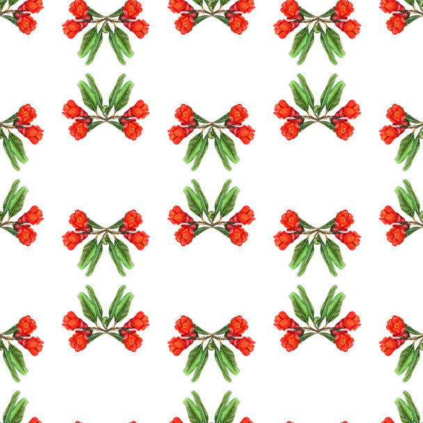 Seamless pattern with flowers of pomegranate - Foto, afbeelding