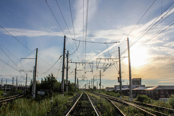 Näköala vihreälle kentälle voikukat ja rautatie kulkee pois alla sininen taivas ja vihreitä puita. Rautatie matkustamista varten
 - Valokuva, kuva