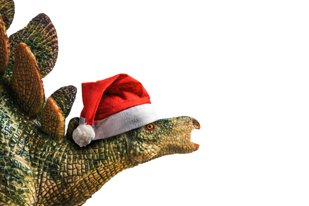 dinosaure, Stegosaurus avec chapeau de Noël sur fond blanc
 . - Photo, image