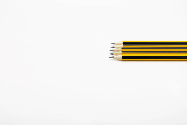 Pencils isolated on white background. Back to school, education concept - orange pencils close up on white background for educational new academic year begin or study term start. - Photo, image