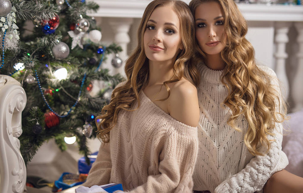 Two young beautiful positive girlfriends pose in New Year's interior. - Foto, Imagen