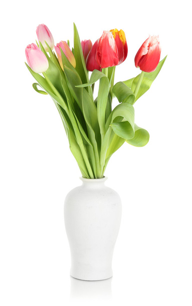 Beautiful tulips in bucket isolated on white - Foto, Imagen