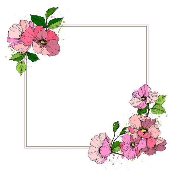 Vector Rosa rosa flor de canina. Flor silvestre de hoja de primavera aislada. Arte de tinta grabada. Marco borde ornamento cuadrado
. - Vector, Imagen