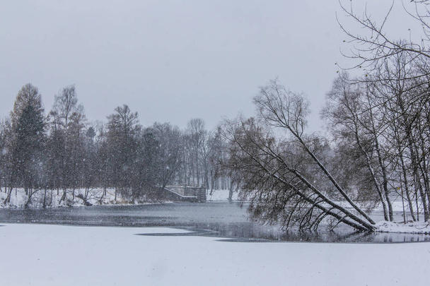Winter landscape in clear weather. - 写真・画像