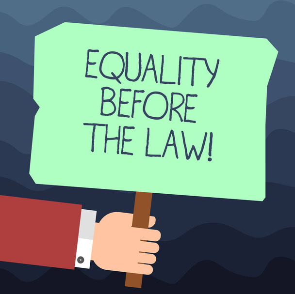 Text sign showing Equality Before The Law. Conceptual photo Justice balance protection equal rights for everyone Hu analysis Hand Holding Blank Colored Placard with Stick photo Text Space. - Photo, Image
