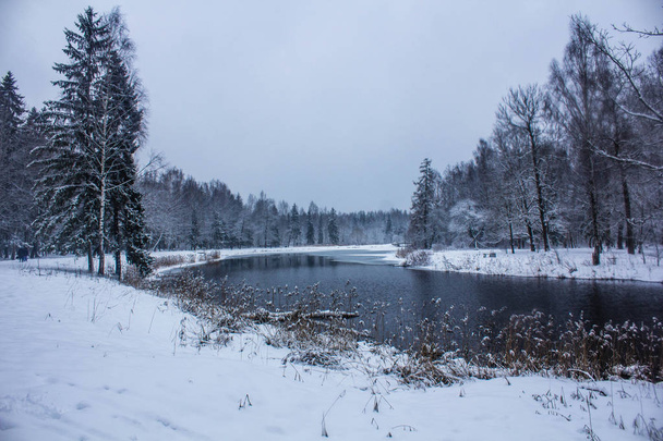 Parque de invierno paisaje con un río. Paisajes rusos. Temporada de invierno, estación fría. Foto nieve
 - Foto, Imagen