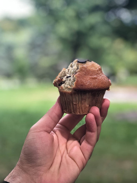Une vue portrait d'un délicieux cupcake au chocolat à la main au premier plan avec des plantes vertes dans un arrière-plan flou
 - Photo, image