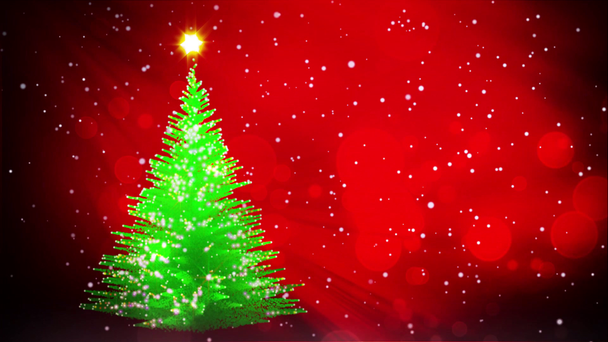 Növekvő karácsonyfa téli ünnepek háttér - Felvétel, videó