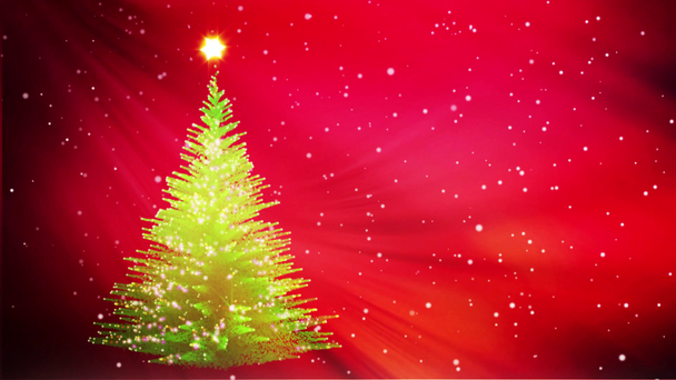 Groeiende kerstboom winter vakantie achtergrond - Video