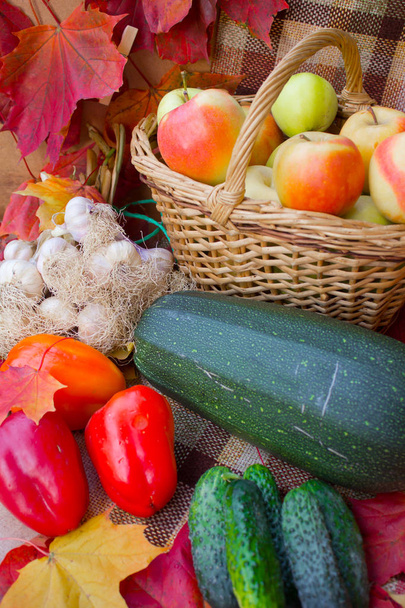 Autumn harvest of fruits and vegetables - Photo, Image