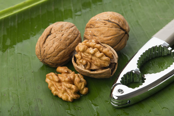 Food:  Closeup of Walnut Isolated on Green Banana Leaf with Nut Cracker Background Shot in Studio - Photo, Image