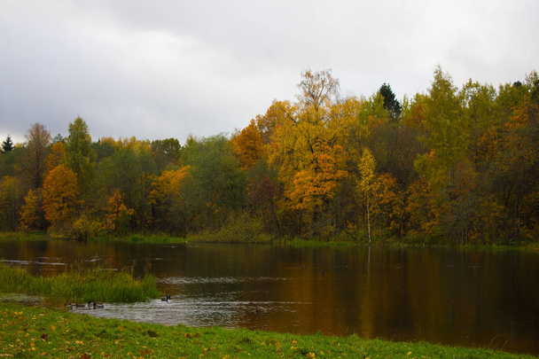Beautiful lake in park on  autumn day. Nature - Photo, Image