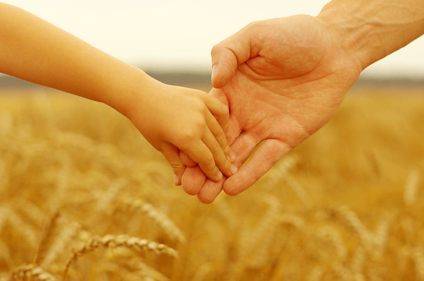 Mãos de pai e filha segurando um ao outro no campo de trigo
 - Foto, Imagem