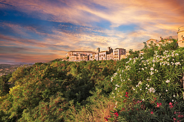 Vasto, Abruzzo, Italia: paisaje al amanecer del casco antiguo en la colina verde bajo un cielo dramático y con flores de adelfa en primer plano
 - Foto, imagen