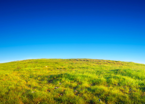 Яскраво-зелений пагорб і блакитне небо
. - Фото, зображення