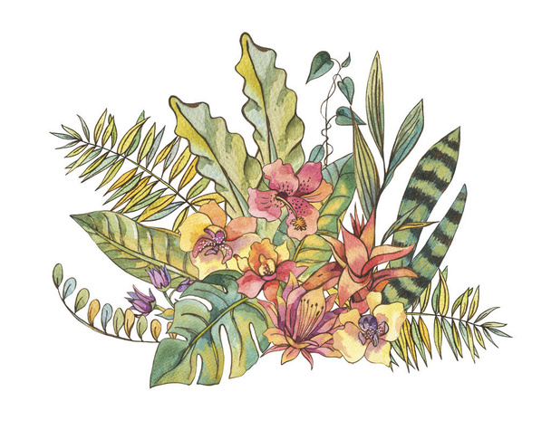 Экзотические природные винтажные акварели цветущие цветы орхидеи, банан
 - Фото, изображение