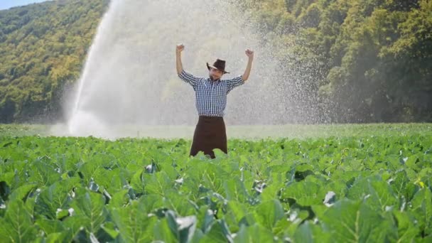 Seltener steht er auf einer Plantage und hebt die Hände. glücklicher Bauer mit Erfolg - Filmmaterial, Video