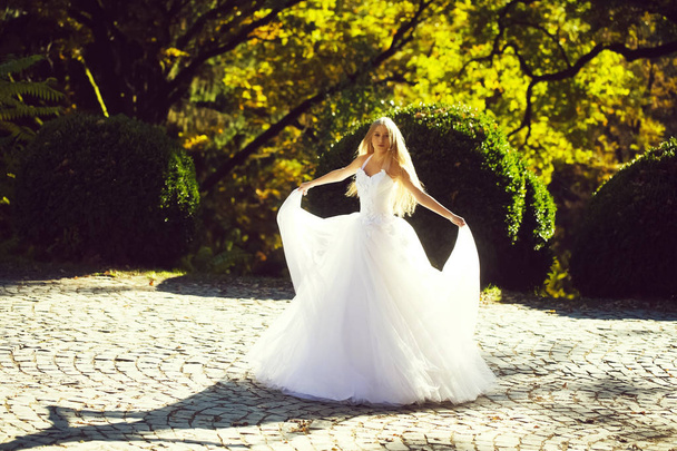 Νύφη στην εξωτερική όμορφο φόρεμα - Φωτογραφία, εικόνα