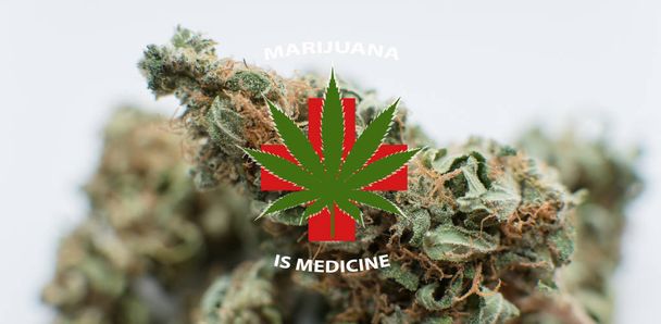 Marijuana is medicine concept. Medical cannabis news - Foto, afbeelding