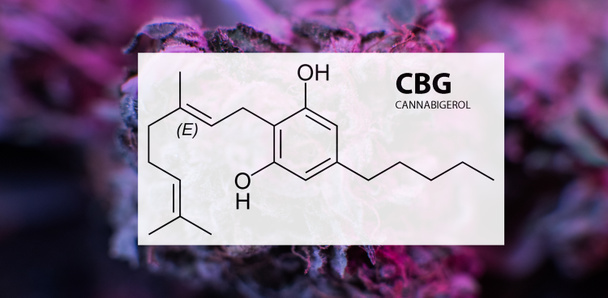 Cannabigerol (Cbg) σε μελέτες της ιατρικής μαριχουάνα - Φωτογραφία, εικόνα