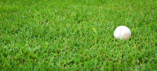 Гольф мяч на зеленой траве поля для гольфа / парк на открытом поле для гольфа
  - Фото, изображение