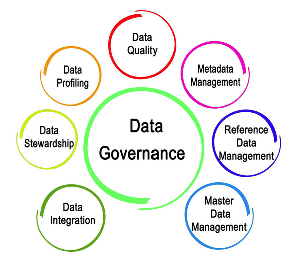  Componenti della governance dei dati
 - Foto, immagini
