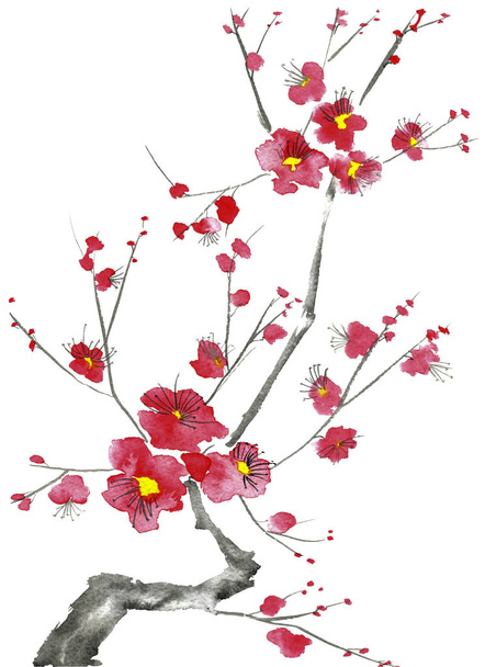 A branch of a blossoming tree. Pink and red stylized flowers of plum mei, wild apricots and sakura . Watercolor and ink illustration in style sumi-e, u-sin. Oriental traditional painting.   - Photo, image