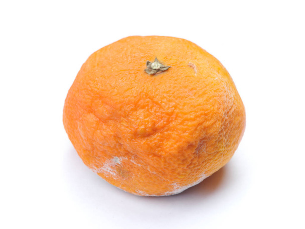 schimmelig faule Mandarine isoliert auf weißem Hintergrund - Foto, Bild