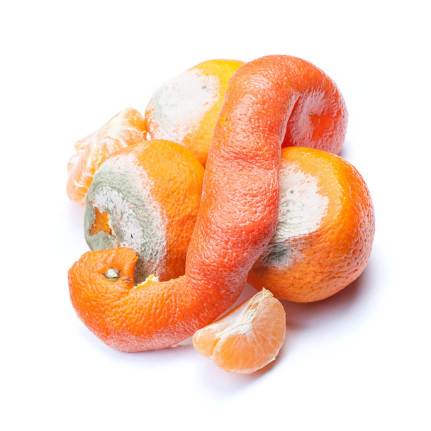 Grupo de mandarinas podres e bolorentas isoladas sobre fundo branco
 - Foto, Imagem