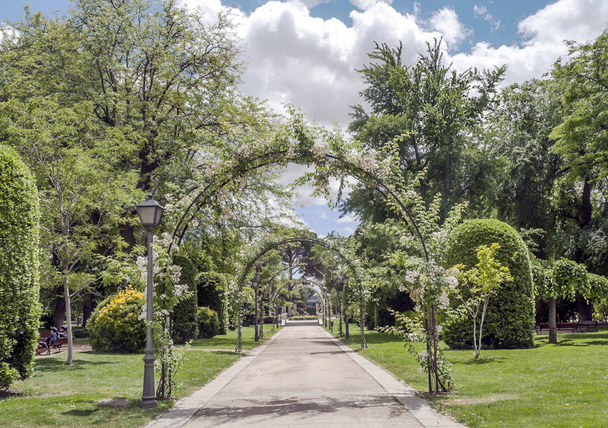 Jardin du Parc du Retiro à Madrid au printemps
 - Photo, image