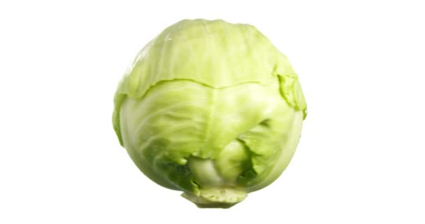 Cabbage Spinning and Rotating Isolated on White Background Food Suspended in the Air - Footage, Video